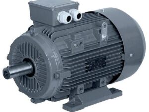 motor electric omec
