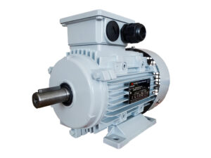 motor-electric-trifazat-talpa